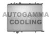 AUTOGAMMA 103172 Radiator, engine cooling